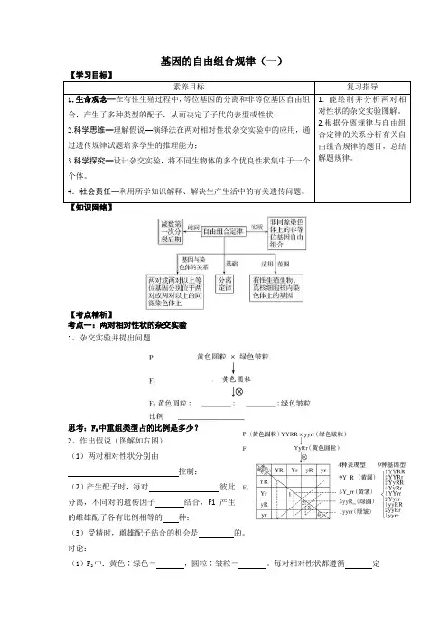 高三一轮复习讲义：基因的自由组合规律(一)