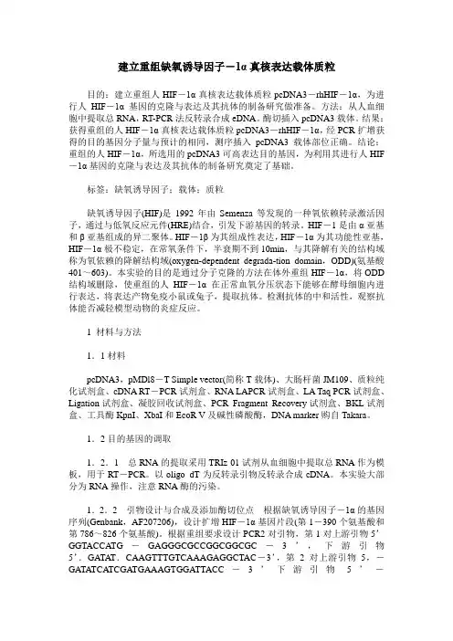 建立重组缺氧诱导因子-1α真核表达载体质粒