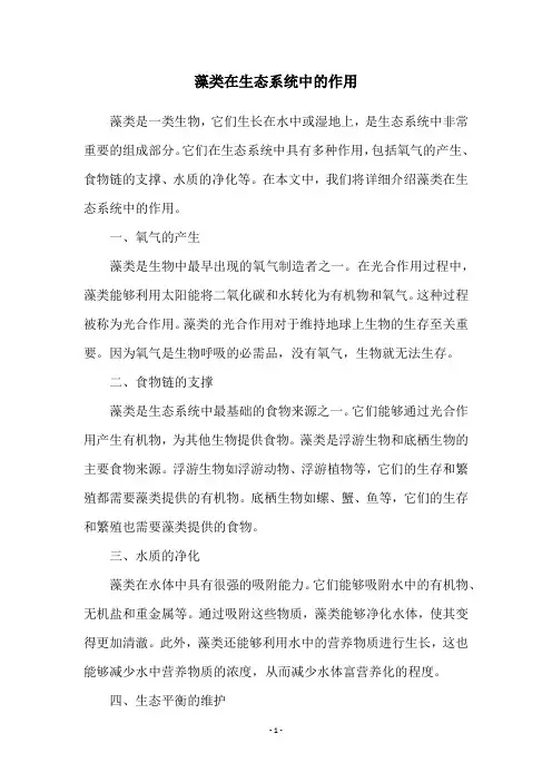 藻类在生态系统中的作用