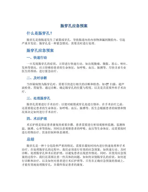 肠穿孔应急预案