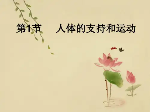 PPT教学课件人体的支持与运动