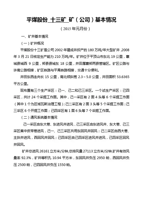 十三矿井基本情况表01.21-01.27