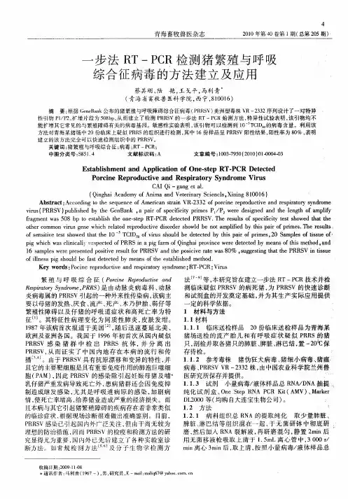 一步法RT—PCR检测猪繁殖与呼吸综合征病毒的方法建立及应用