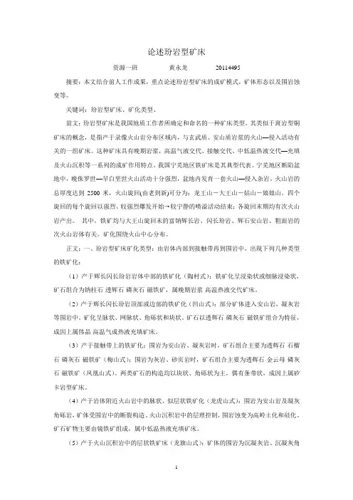 论述玢岩型矿床