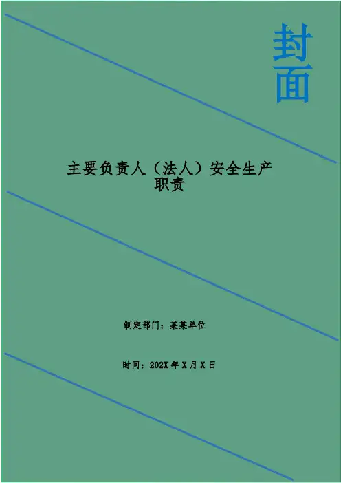 主要负责人(法人)安全生产职责