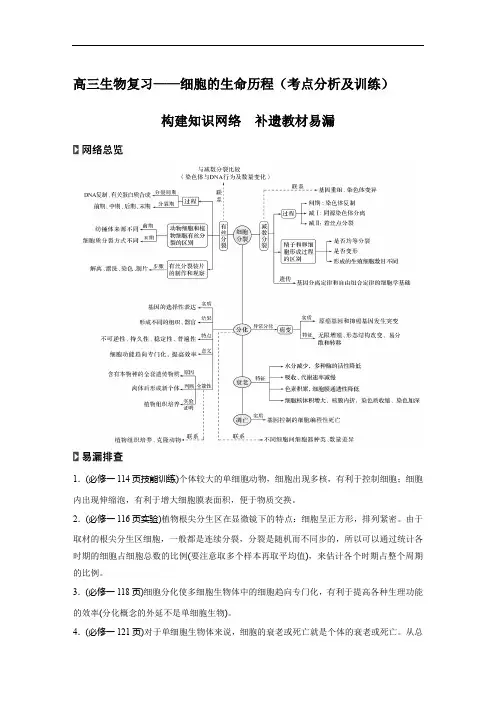 高三生物复习——细胞的生命历程(考点分析及训练)