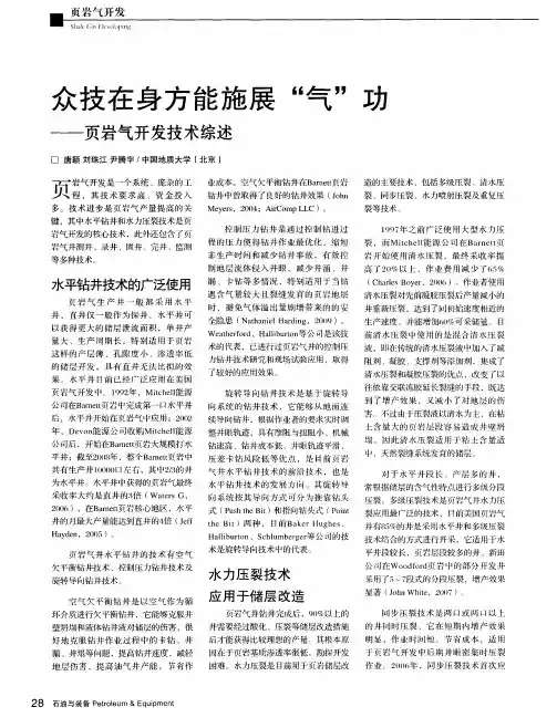 众技在身方能施展“气”功——页岩气开发技术综述