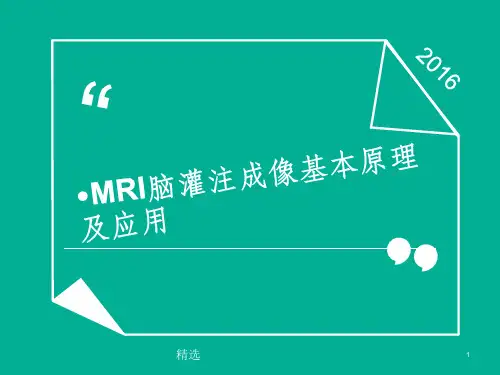 mr脑灌注成像PPT课件