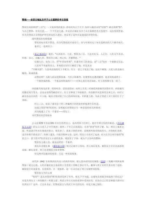 鄂侯——安居古城址及羊子山古墓群的考古发现