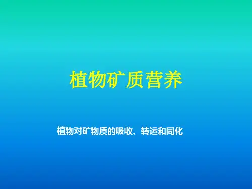 植物矿质营养PPT课件
