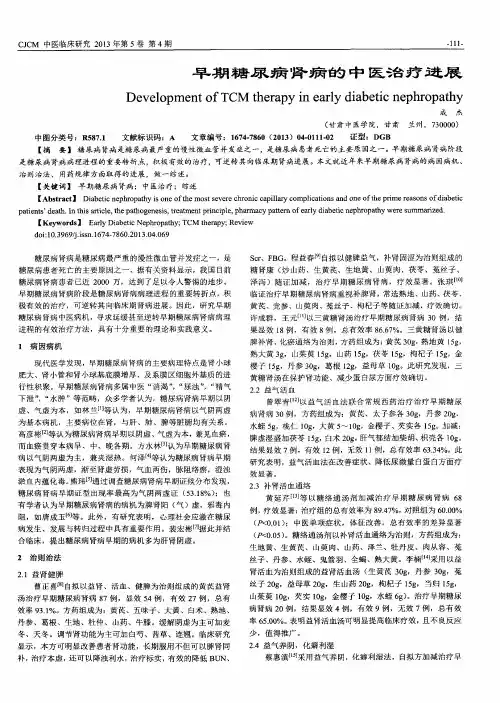 早期糖尿病肾病的中医治疗进展