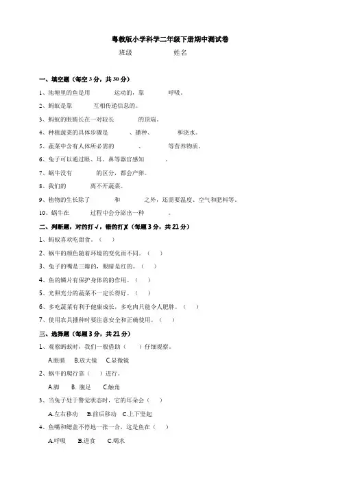 粤教粤科版科学二年级下册 期中测试卷