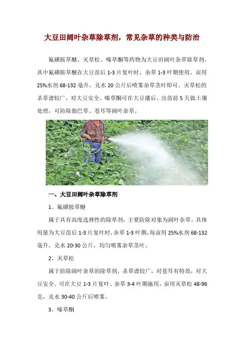大豆田阔叶杂草除草剂,常见杂草的种类与防治