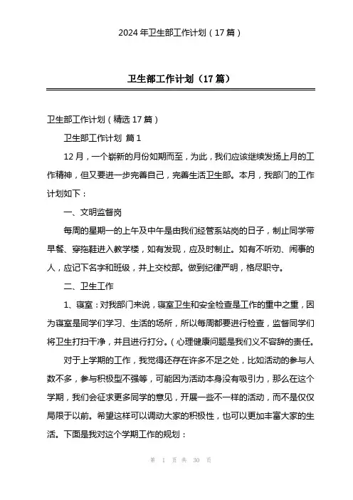 2024年卫生部工作计划(17篇)