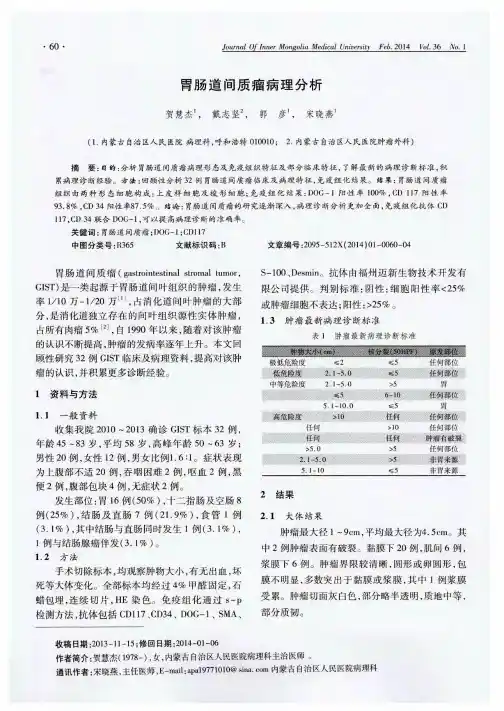 胃肠道间质瘤病理分析
