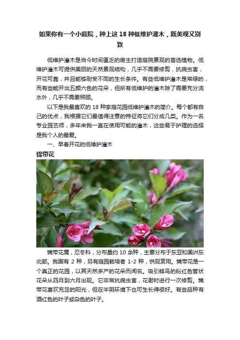 如果你有一个小庭院，种上这18种低维护灌木，既美观又别致