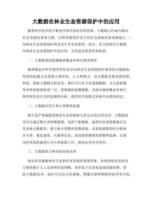 大数据在林业生态资源保护中的应用