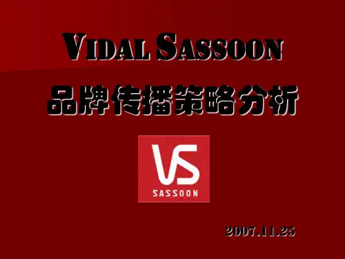 沙宣品牌传播策略