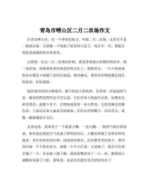 青岛市崂山区二月二农场作文
