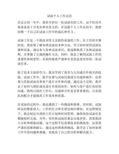 试油个人工作总结