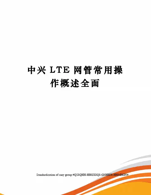 中兴LTE网管常用操作概述全面