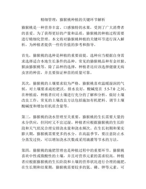 精细管理：猕猴桃种植的关键环节解析