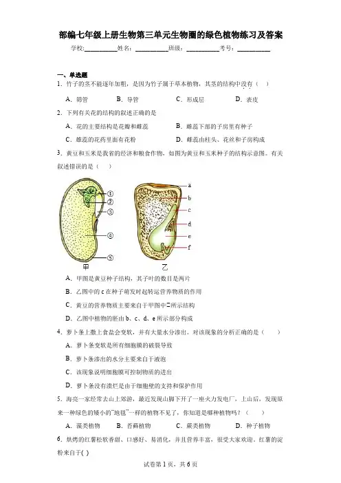 部编七年级上册生物第三单元生物圈的绿色植物练习及答案