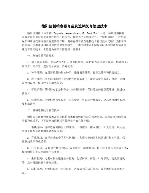 榆阳区侧柏容器育苗及造林抚育管理技术
