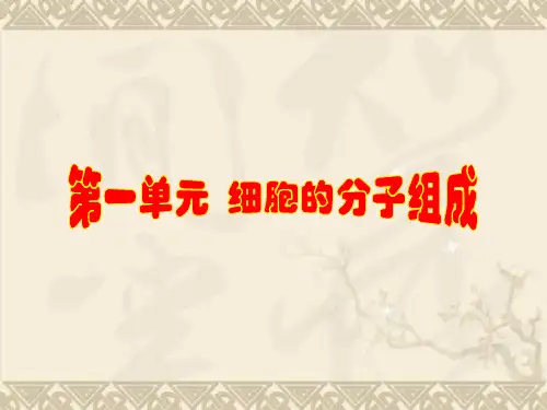 【步步高】高考生物一轮复习 第一单元 第2讲 蛋白质的结构与功能课件 苏教版