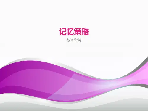 记忆策略