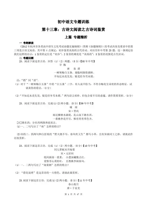 初中语文专题训练 第十三章 古诗文阅读之古诗词鉴赏