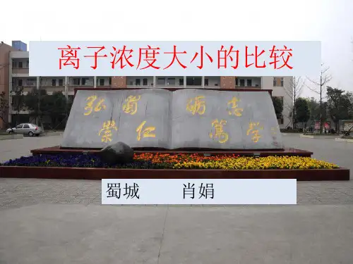 高中化学离子浓度大小的比较优秀课件