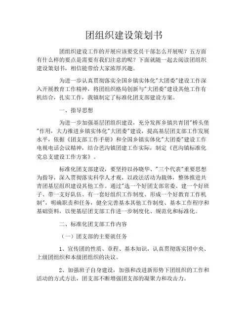 团组织建设策划书