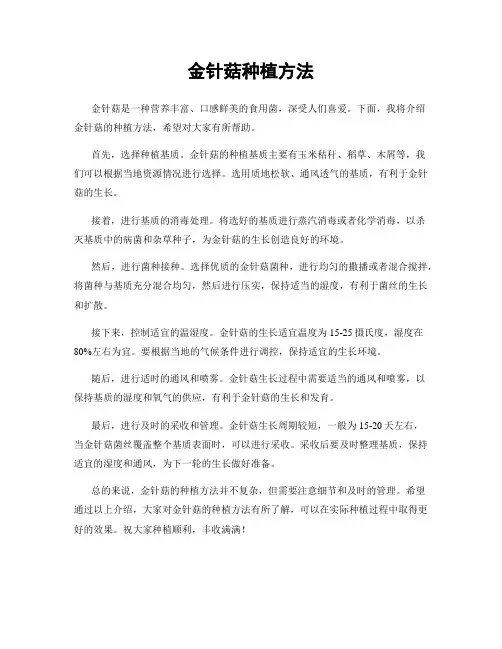金针菇种植方法
