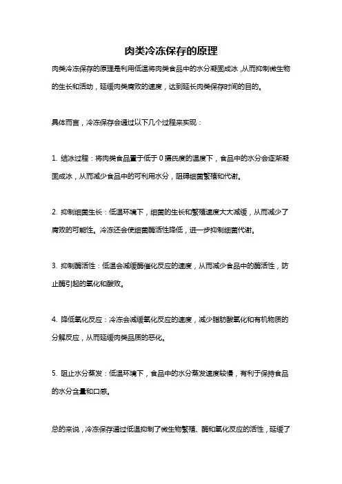 肉类冷冻保存的原理