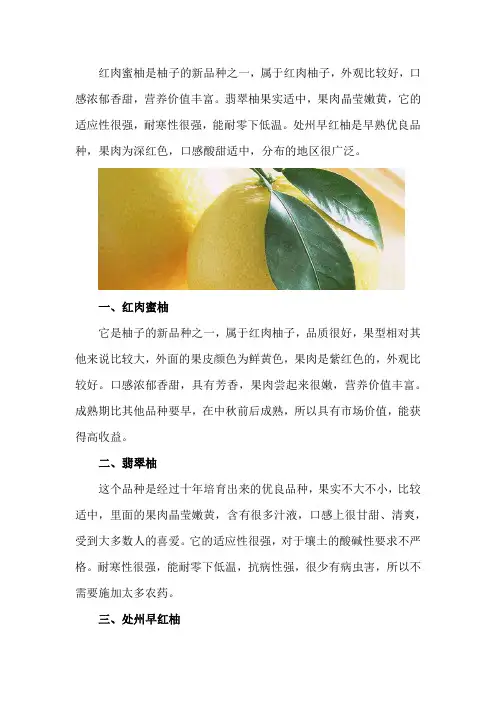 柚子新品种