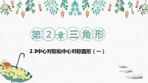 中心对称和中心对称图形(一)课件(湘教版)