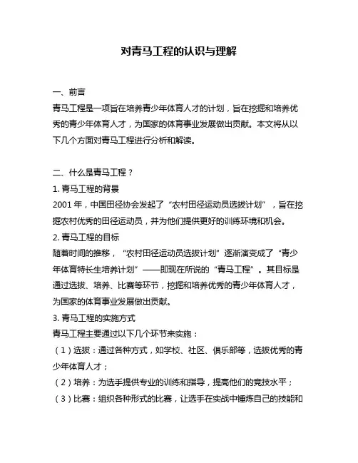 对青马工程的认识与理解