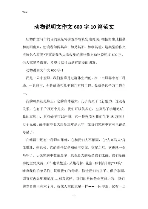 动物说明文作文600字10篇范文