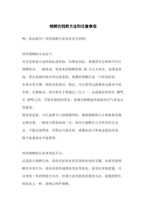 锦鲤的饲养方法和注意事项