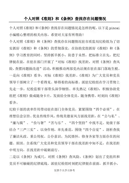 个人对照《准则》和《条例》查找存在问题情况