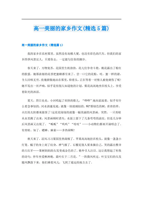 高一美丽的家乡作文(精选5篇)