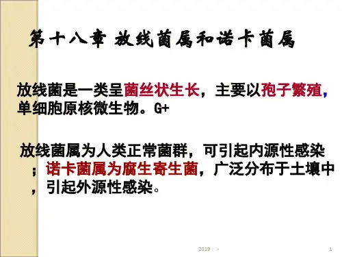 第章放线菌、支原体、立克次体、衣原体详解ppt课件