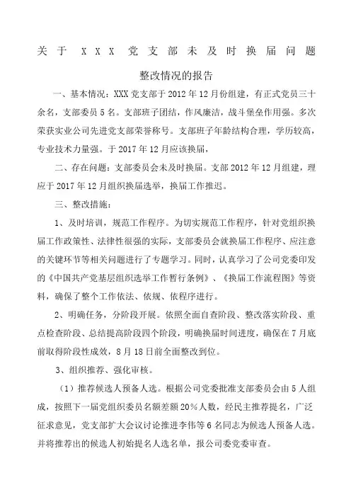 支部换届整改情况报告