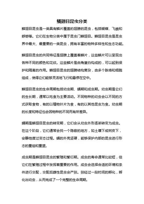 鳞翅目昆虫分类