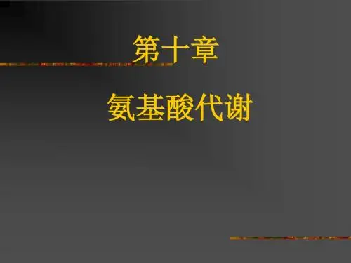 第十章 氨基酸代谢