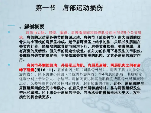 第十六章人体各部位运动损伤