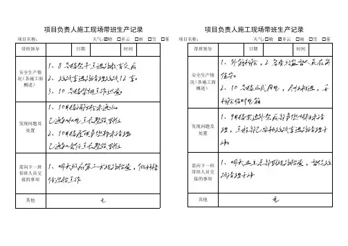 项目负责人施工现场带班生产记录【pdf】
