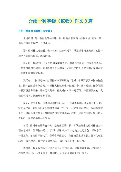 介绍一种事物（植物）作文8篇