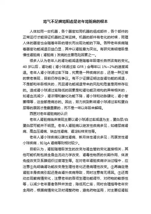 肾气不足脾肾阳虚是老年肾脏病的根本